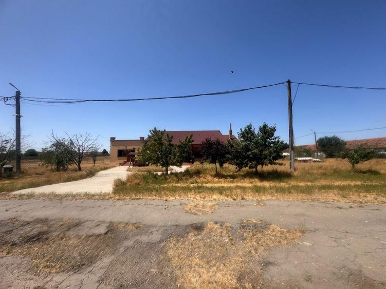 Teren Construcții intravilan de 90000 mp, în Bărăteaz