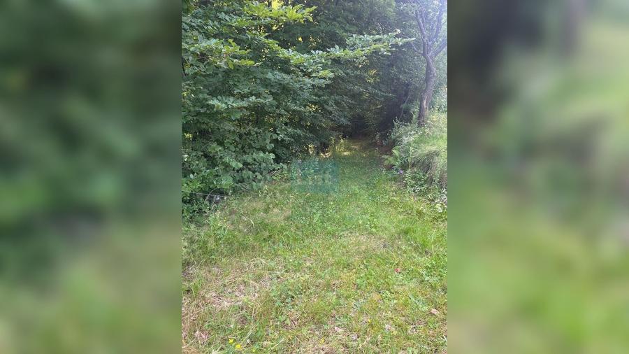 Teren cu potențial turistic, 2 parcele de 10.000 mp  Sacuieu,Cluj - 12