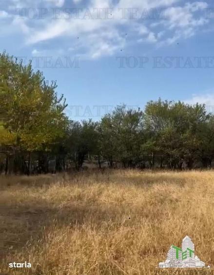 Spațiu comercial, de 5,500 mp, în Dobra