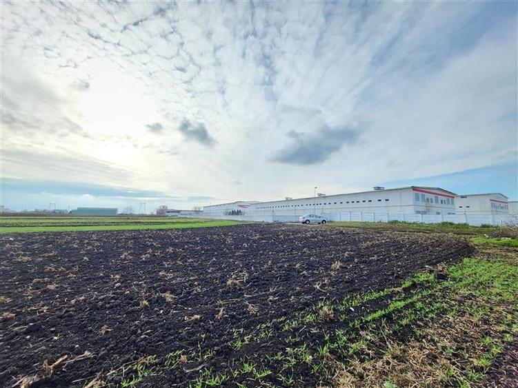 Teren Construcții extravilan de 28100 mp, în Hălchiu