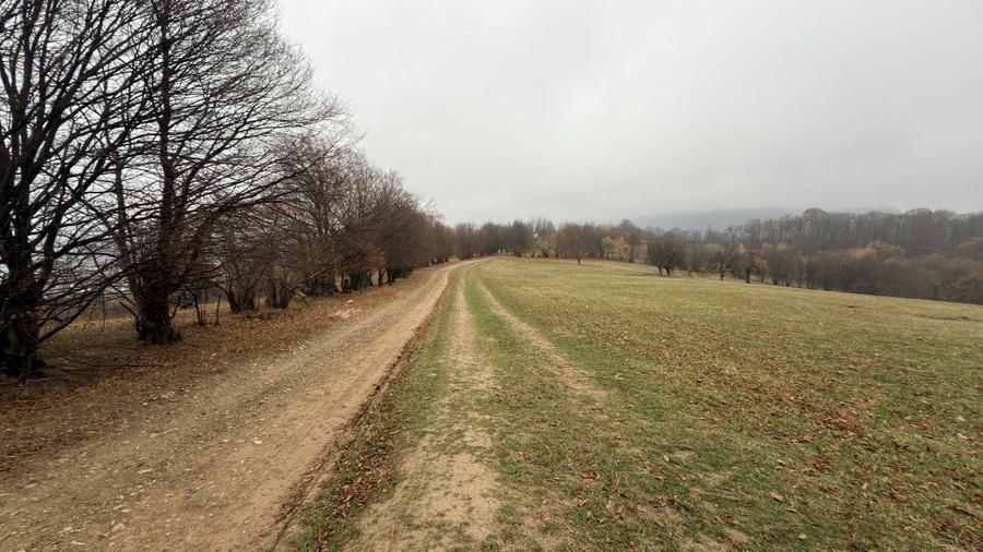 Teren agricol de 35000 mp, în Cisnădioara