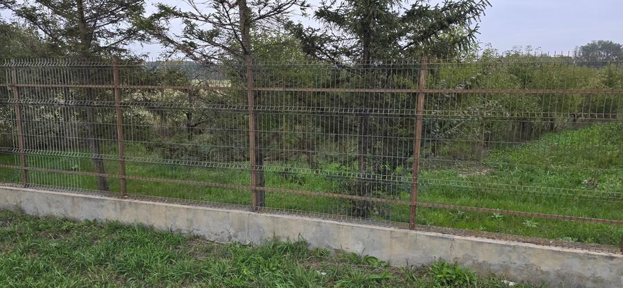 Teren agricol extravilan de 18000 mp, în Boțârlău