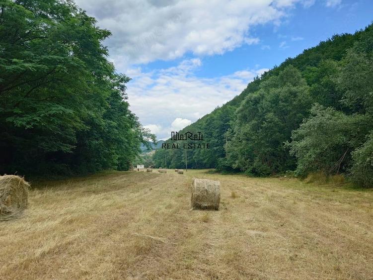 Teren de 5800 mp, în Podele