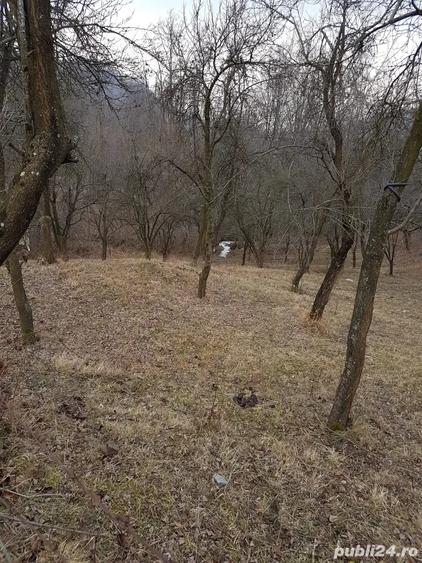 Teren de 1700 mp, în Olănești