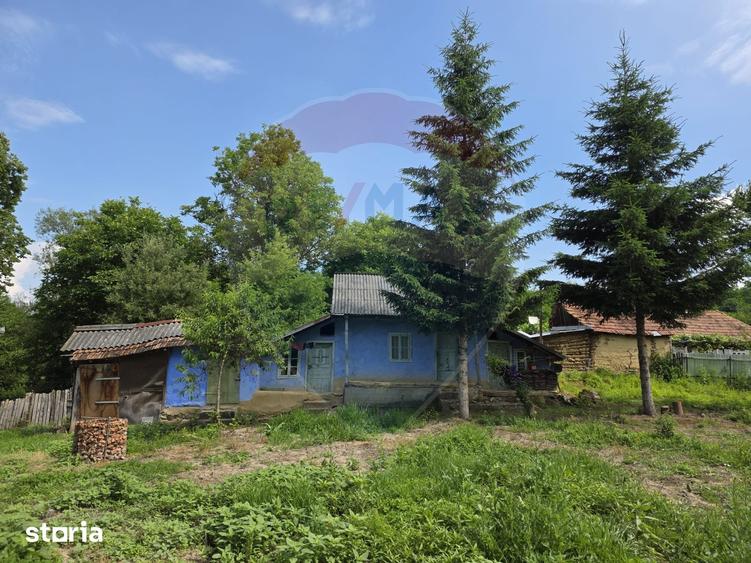 Casă cu 4 camere cu Teren 3686 Mp în Buciumi