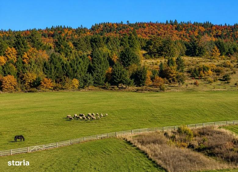 Teren de 1000 mp, în Central