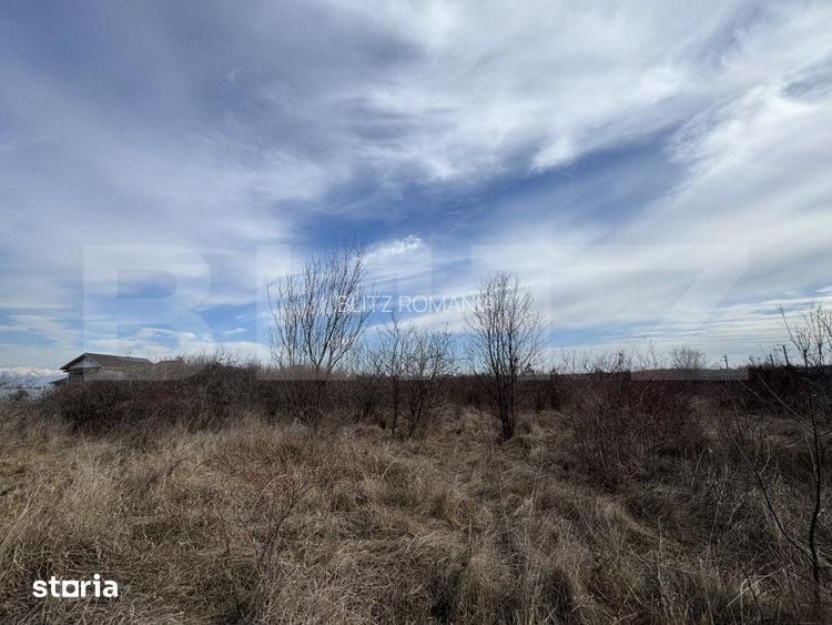 Teren extravilan de vanzare, 15.000 mp, zona Narcise II