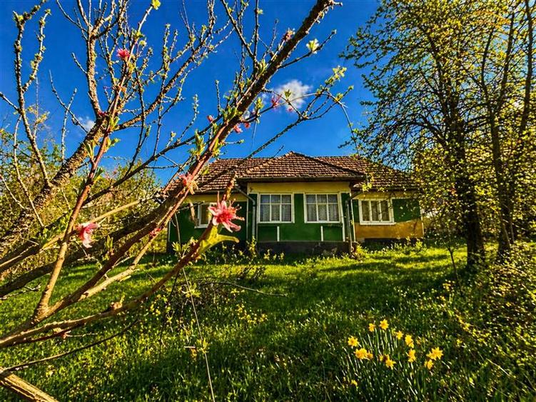 Casa traditionala,zona pitoreasca,domeniu de 3.400 mp,Suveica,Acatari,Mures - 1