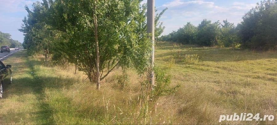Teren în Gorgota