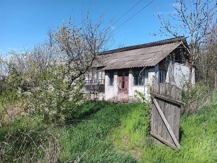 Teren intravilan de 1246 mp, în Rediu
