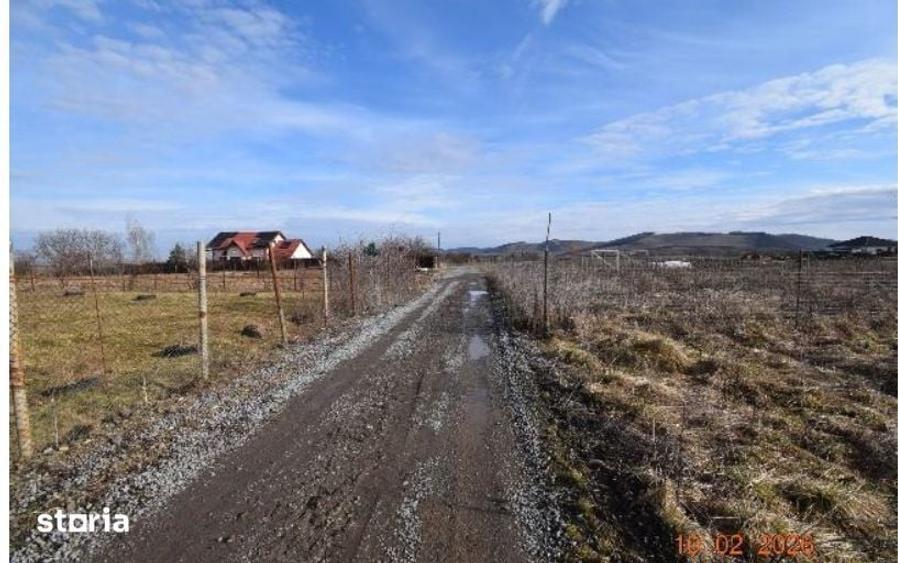 Teren de 2934 mp, în Aleea Carpați