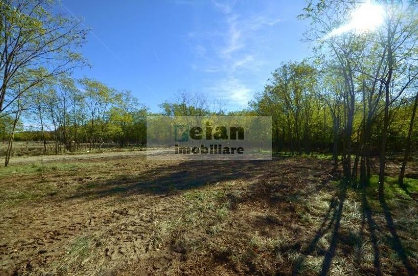 Teren Construcții intravilan de 1336 mp, în Ciofliceni
