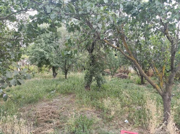 Casă cu 4 camere cu Teren 800 Mp în Licuriciu