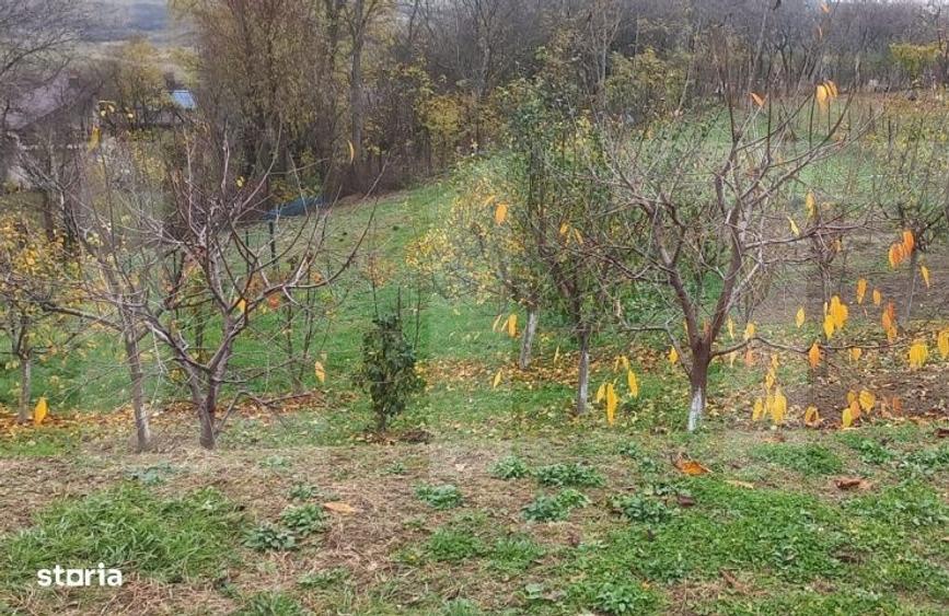 Casă cu 2 camere cu Teren 1172 Mp în Central