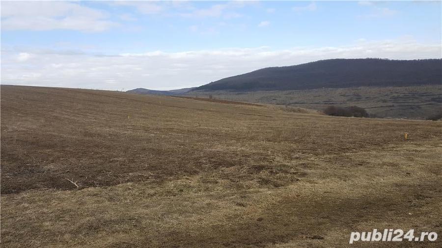 Teren de 3750 mp, în Rădaia