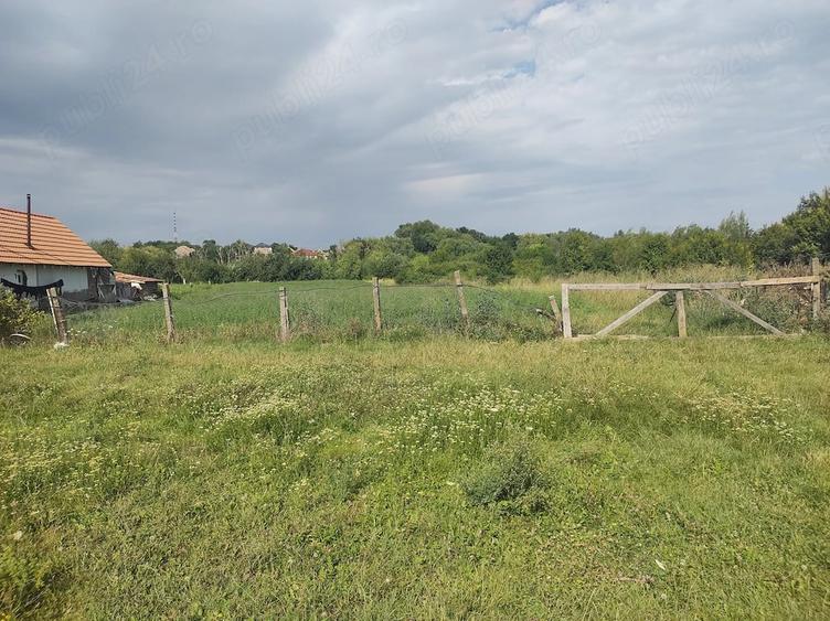 Teren de 2500 mp, în Mănăștur