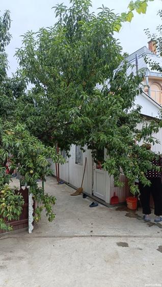 Casă cu 6 camere în Horlăceni