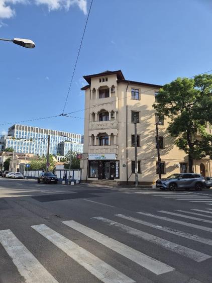 Proprietar,sp.comercial,cabinet,salon,agentie,Tineretului-Parcul Carol - 2