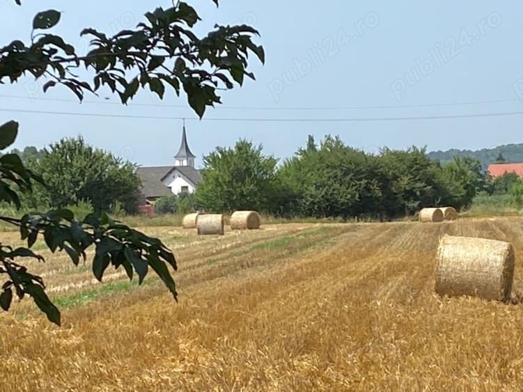 Teren în Hărman