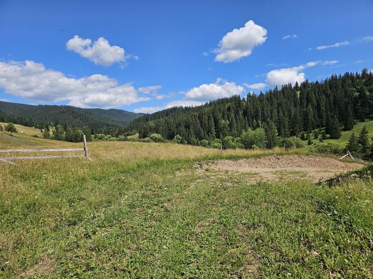 Teren de vanzare extravilan in Bucovina zona Breaza - 4