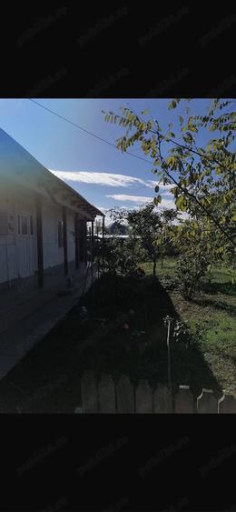 Casă cu Teren 2436 Mp în Cotu Ciorii