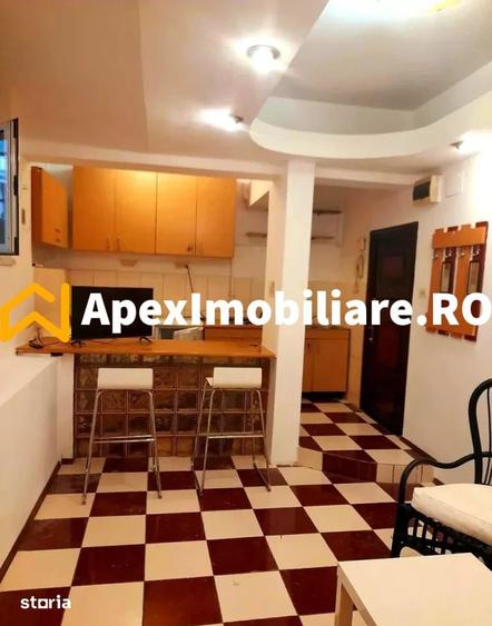 Apartament 1 camere de inchiriat Cismigiu Bucuresti | ApexImobiliare.r - 5