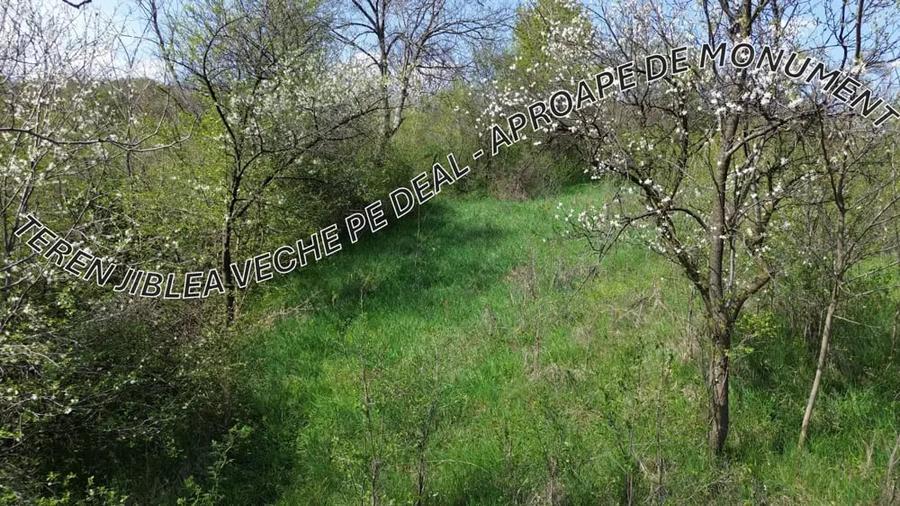 Teren de 2278 mp, în Jiblea Veche