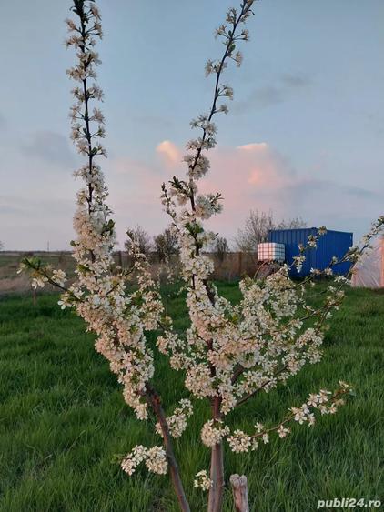 Teren de 2163 mp, în Urseni