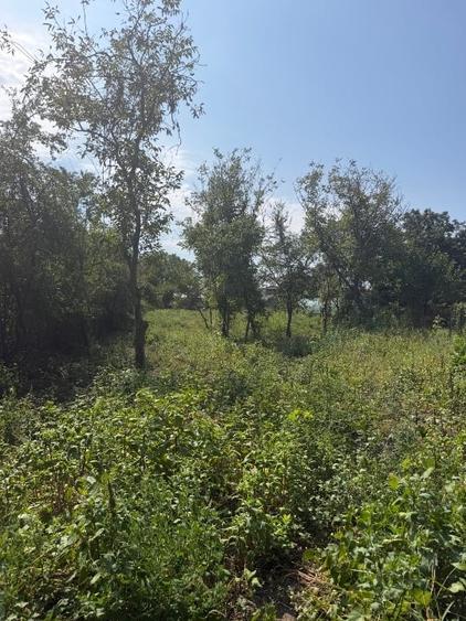 Teren Construcții intravilan de 2418 mp, în Călugăreni