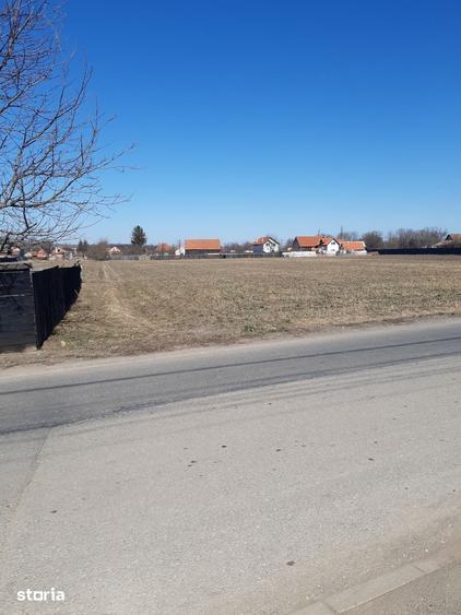 Teren de 50000 mp, în Prejmer