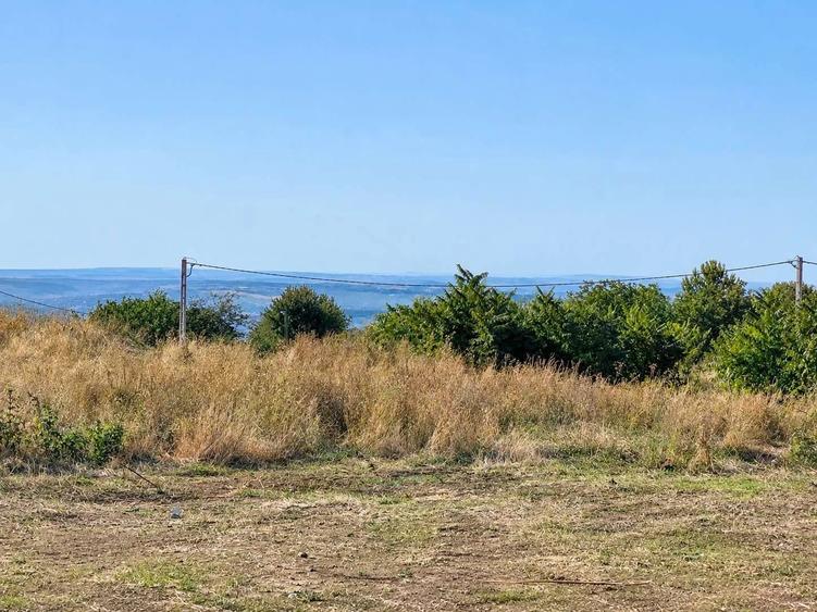 Teren intravilan de 10000 mp, în Bucium