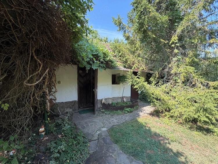 Casă cu Teren 1215 Mp în Ant