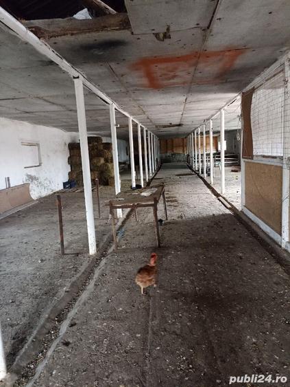 Spațiu comercial, de 480 mp, în Siliștea