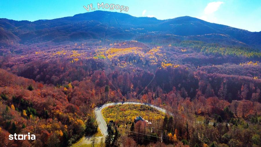 Casă cu Teren 2900 Mp în Central