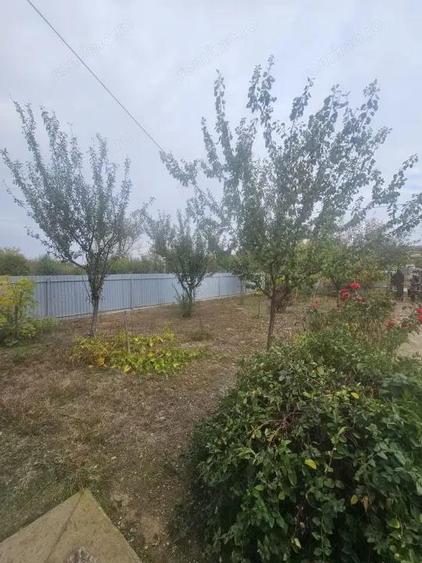 Casă cu Teren 3000 Mp în Central