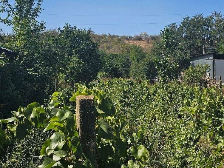 Teren agricol intravilan de 1800 mp, în Fârțănești