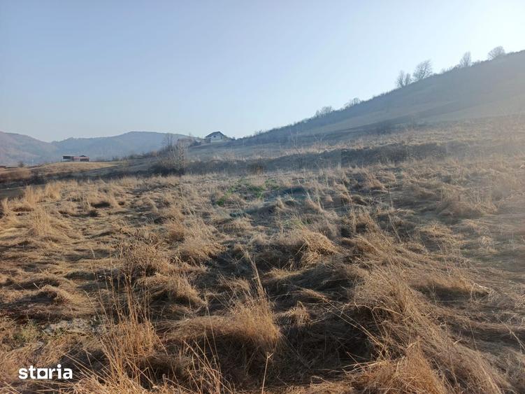Teren de 3000 mp, în Curtești