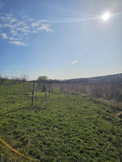 Teren agricol intravilan de 850 mp, în Săldăbagiu de Munte