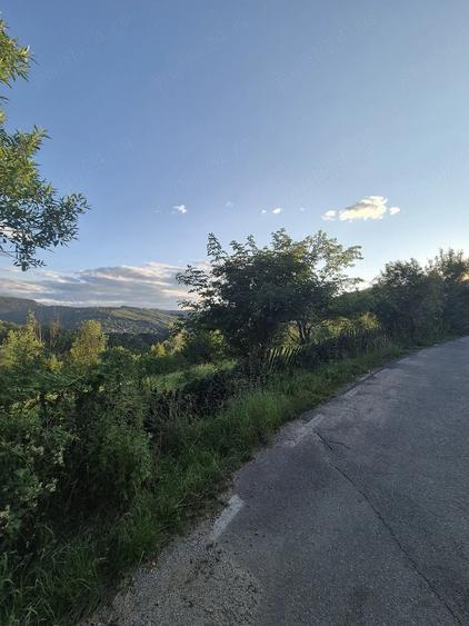 Teren de 2700 mp, în Valea Doftanei