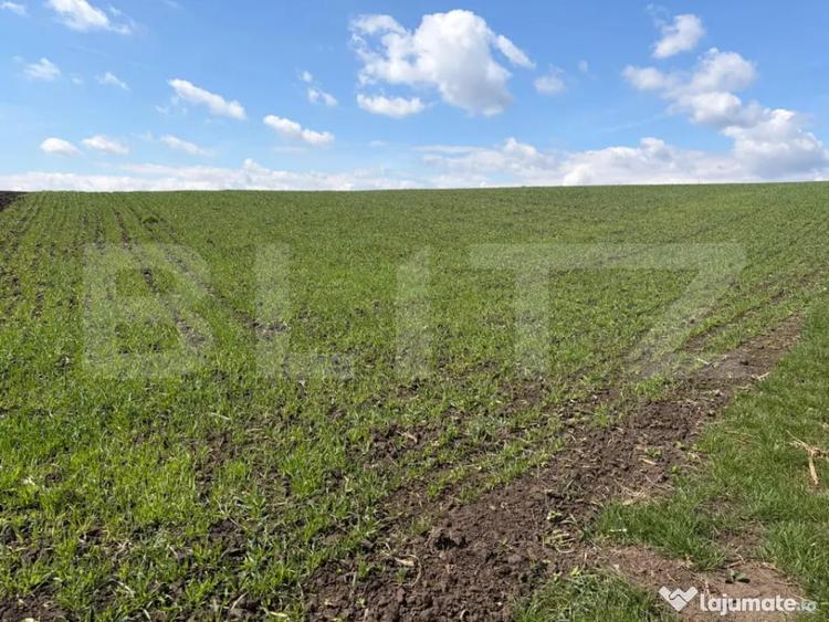 Teren extravilan, 3900 mp, zona Cumparatura - Suceava (Suceava) - 1