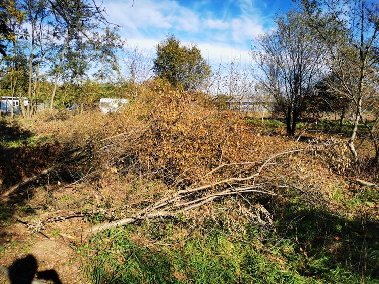 Casă individuală cu 2 camere cu Teren 2500 Mp în Gruiu