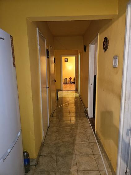 Apartament cu 3 camere decomandat, mobilat în Șagului