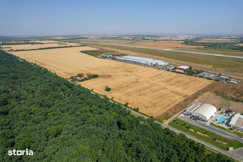 Oportunitate Teren Intravilan, 57.100 mp, Cal.Bodrogului - Aeroport - 4