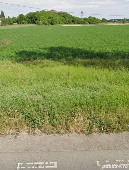Teren Buftea,?oseaua Tamasi,langa Gara Buftea. - 3