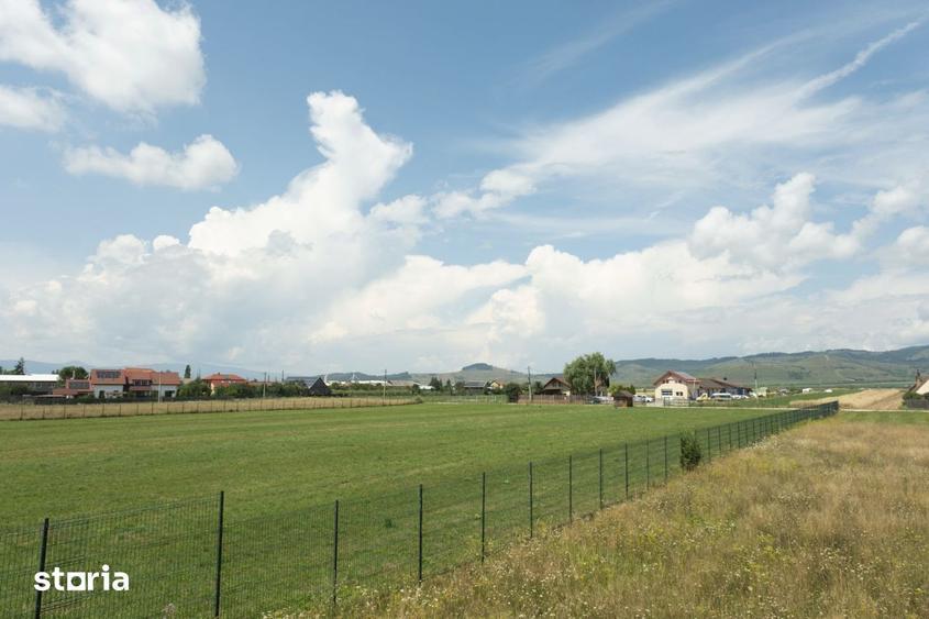 Teren de 9398 mp, în Gheorgheni