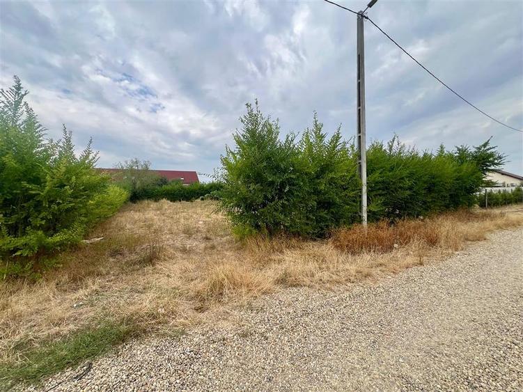 Teren intravilan de 737 mp, în Biharia
