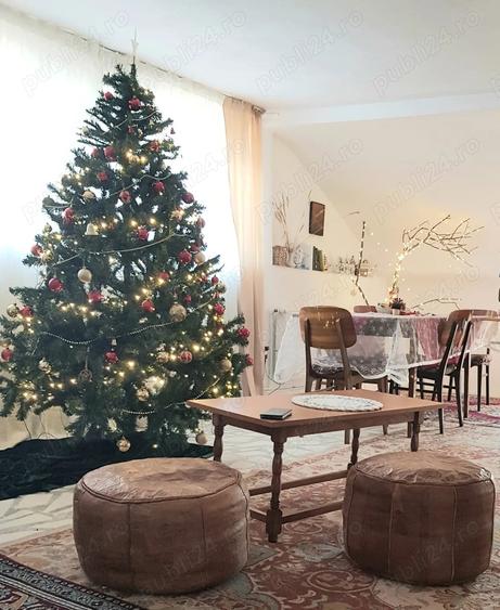 Casă cu Teren 5200 Mp în Băiculești
