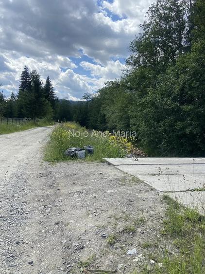 Teren de vis 10.000 mp intravilan in Neagra ?arului, la doar 15 km de Vatra Dornei