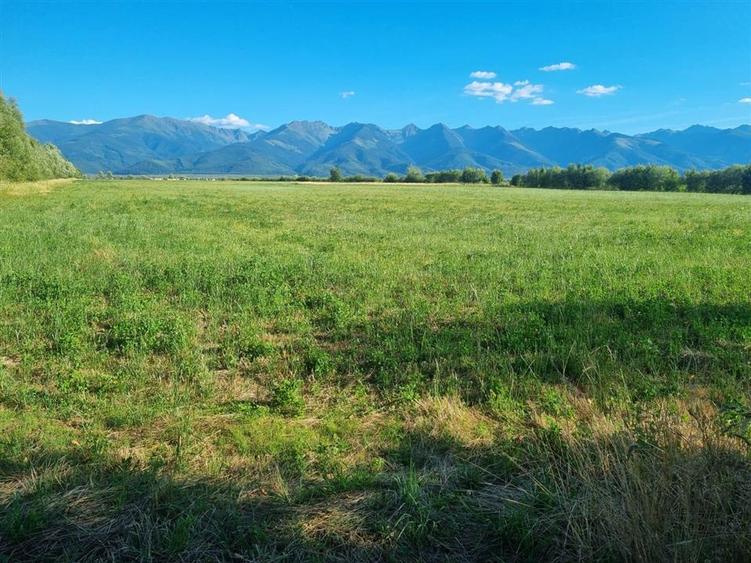 Teren Construcții intravilan de 17529 mp, în Central