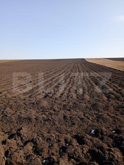 Teren agricol extravilan de 2492 mp, în Periferie